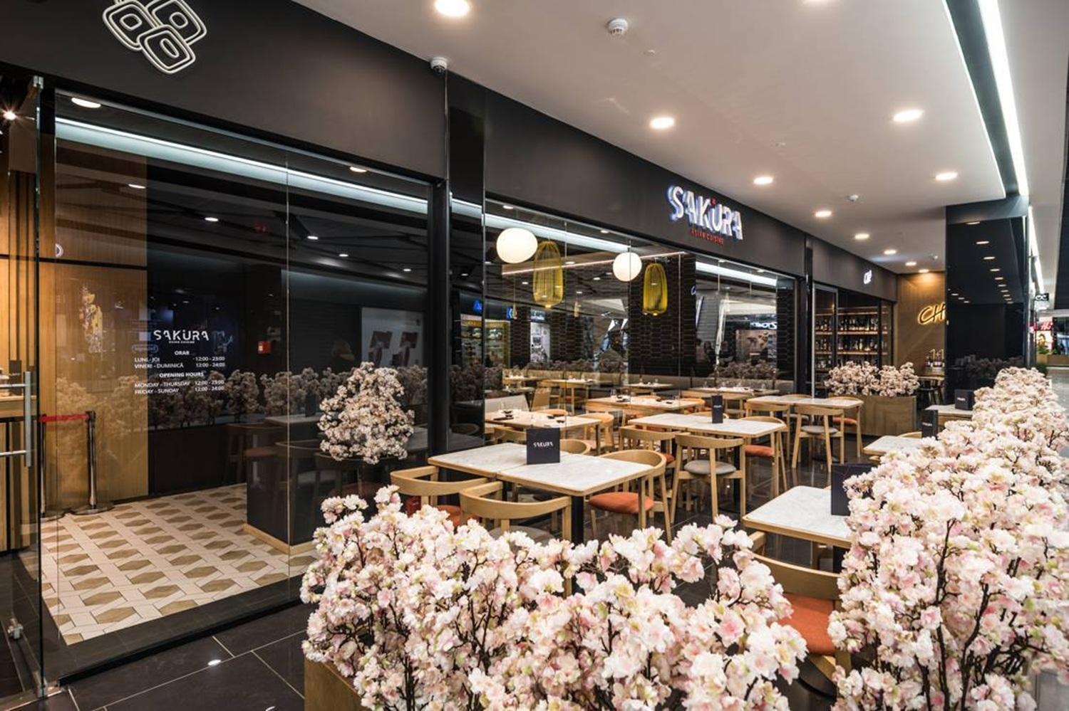 Hotel Platinia Клуж-Напока Екстериор снимка Sakura at the airport